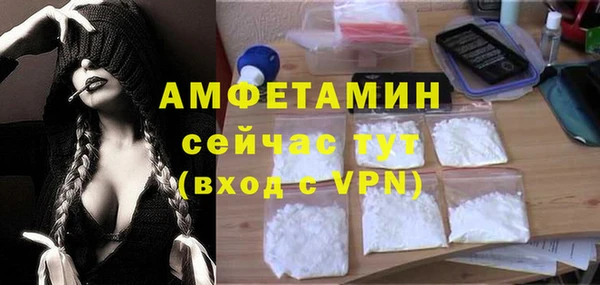 шишки Алексеевка
