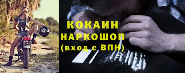 шишки Алексеевка